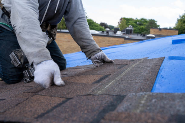 Best Roof Maintenance Services  in Bonny Doon, CA